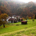 Sandon Leonardo - Val di Lamon in autunno